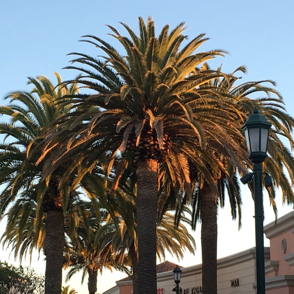 Meet your Posher, Heidi